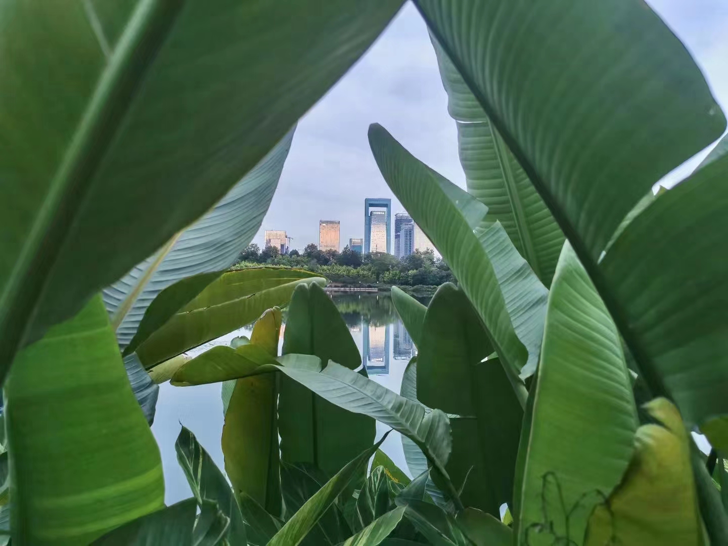 微信图片_20220712161516