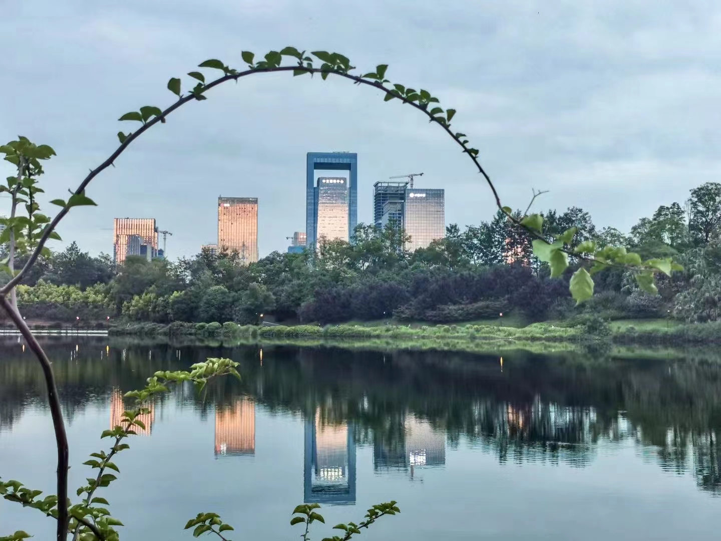 微信图片_20220712161519