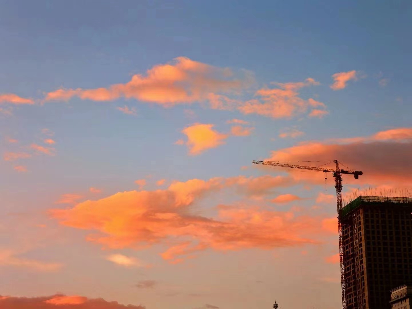 微信图片_20220712161540