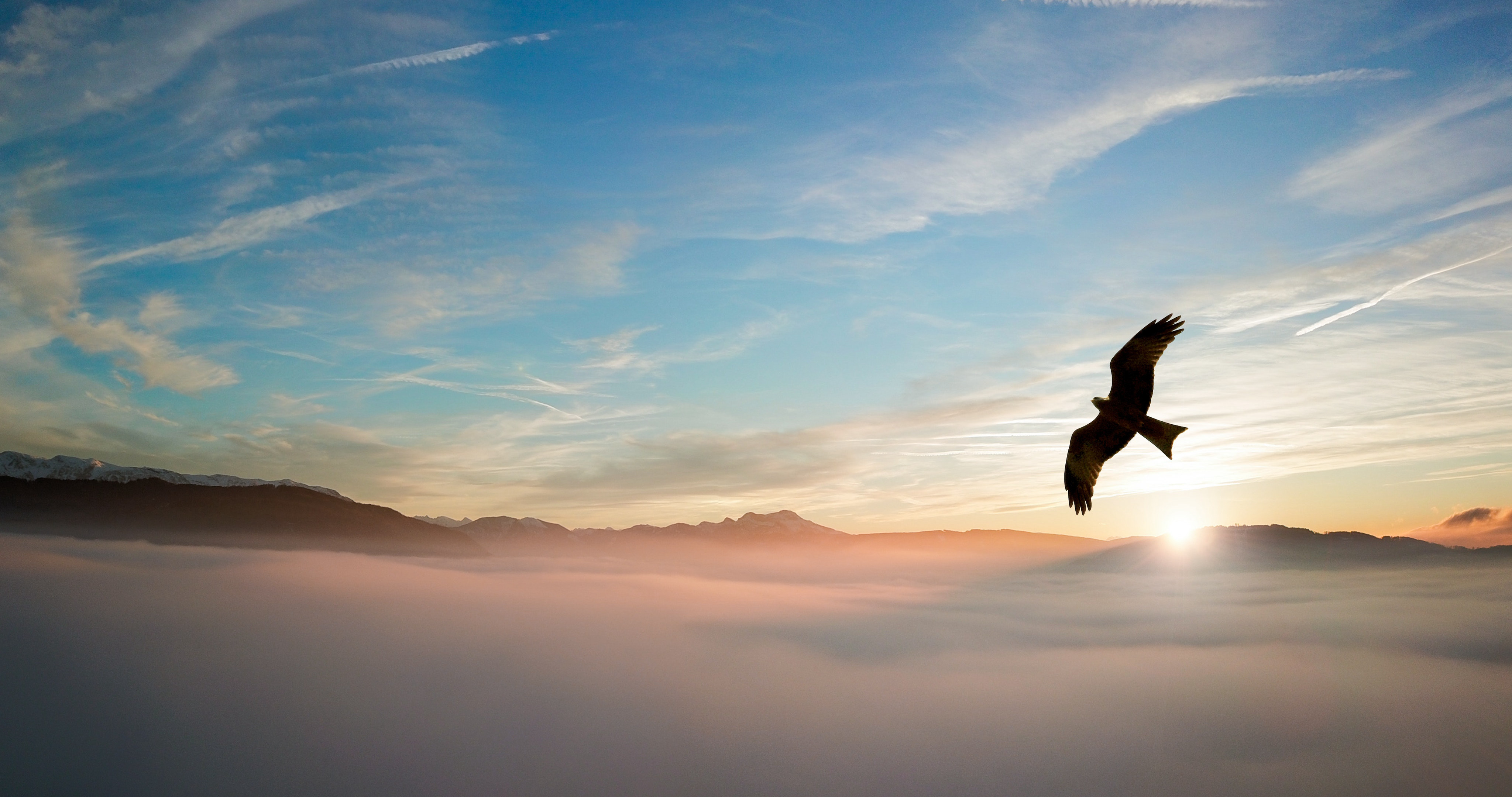 纯手工打造机场 VLESS+HTTP+TLS